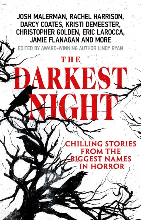 Produktbild: The Darkest Night