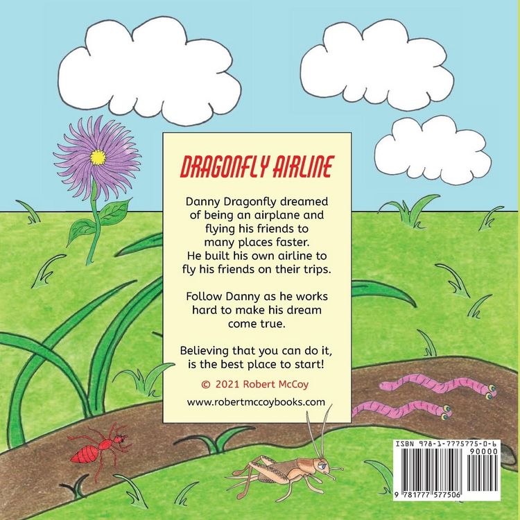 Produktbild: Dragonfly Airline