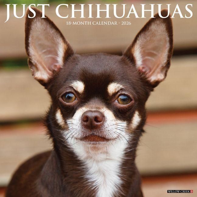 Produktbild: Chihuahuas 2026 Wall Calendar