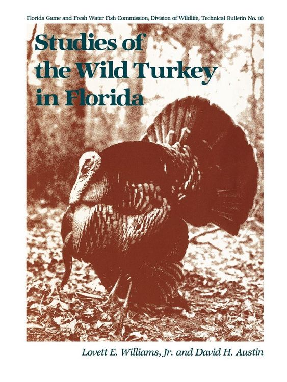 Produktbild: Studies of the Wild Turkey in Florida