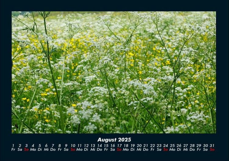 Produktbild: Blumenkalender 2025 Fotokalender DIN A4