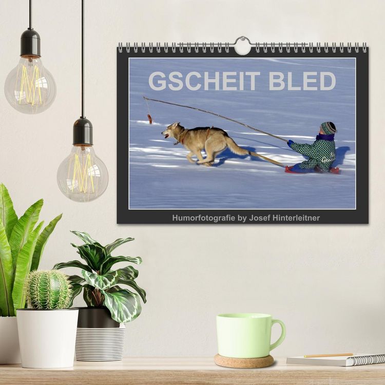 Produktbild: GSCHEIT BLED - Humorfotografie (Wandkalender 2026 DIN A4 quer), CALVENDO Monatskalender