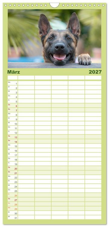 Produktbild: Familienplaner 2027 - Belgischer Sch&auml;ferhund - Der Malinois mit 5 Spalten (Wandkalender, 21 x 45 cm) CALVENDO