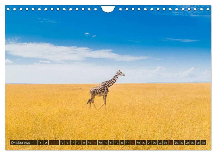 Produktbild: Ostafrika (Wandkalender 2026 DIN A4 quer), CALVENDO Monatskalender