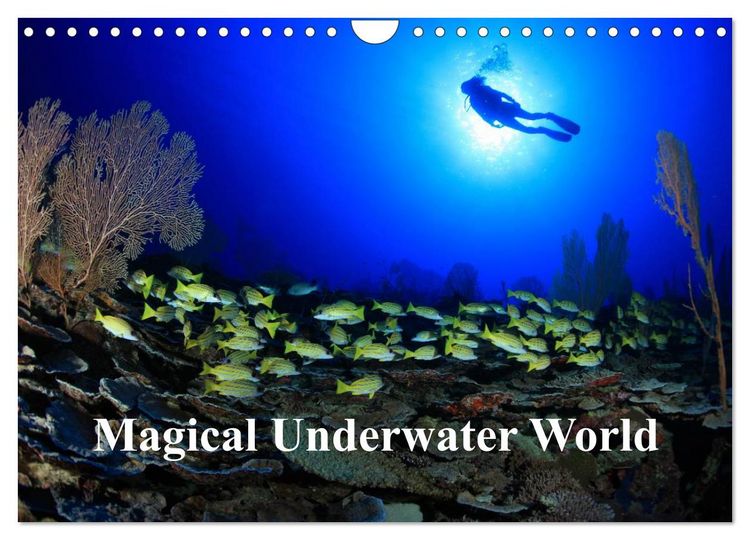 Produktbild: Magical Underwater World (Wall Calendar 2026 DIN A4 landscape), CALVENDO 12 Month Wall Calendar