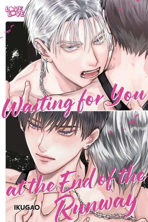 Produktbild: Waiting for You at the End of the Runway
