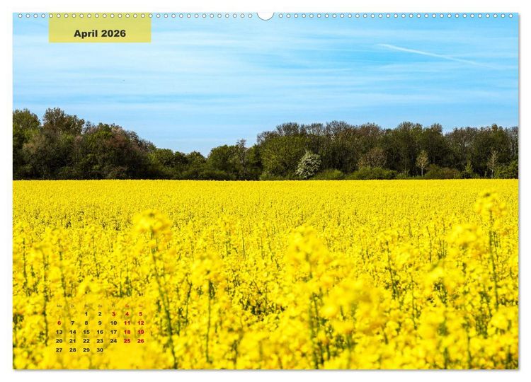 Produktbild: Ein Jahr Niederrhein Momente der Natur (Wandkalender 2026 DIN A2 quer), CALVENDO Monatskalender
