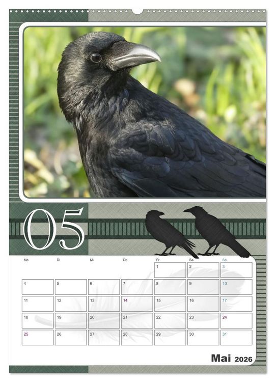 Produktbild: Kr&auml;hen - Clever notiert! Mit K&ouml;pfchen durchs ganze Jahr (hochwertiger Premium Wandkalender 2026 DIN A2 hoch), Kunstdruck in Hochglanz