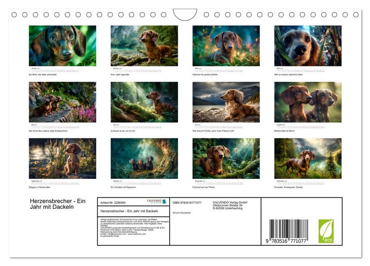 Produktbild: Herzensbrecher - Ein Jahr mit Dackeln (Wandkalender 2027 DIN A4 quer), CALVENDO Monatskalender
