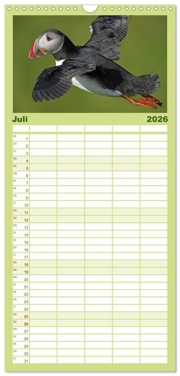 Produktbild: Familienplaner 2026 - Papageitaucher - Clowns der nordischen Vogelwelt mit 5 Spalten (Wandkalender, 21 x 45 cm) CALVENDO