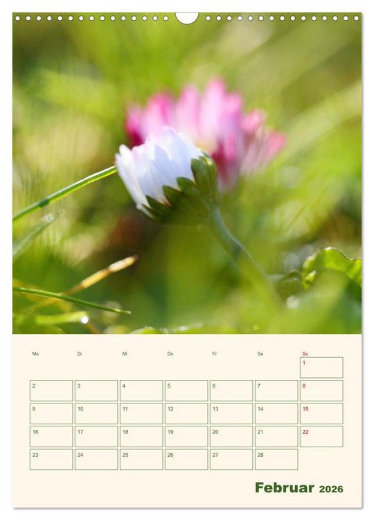 Produktbild: Vertr&auml;umte G&auml;nsebl&uuml;mchen (Wandkalender 2026 DIN A3 hoch), CALVENDO Monatskalender