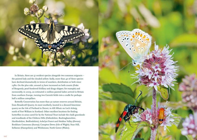 Produktbild: The Nature Lover's Bucket List