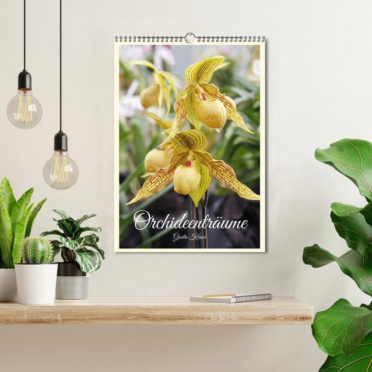 Produktbild: Orchideentr&auml;ume (Wandkalender 2026 DIN A3 hoch), CALVENDO Monatskalender
