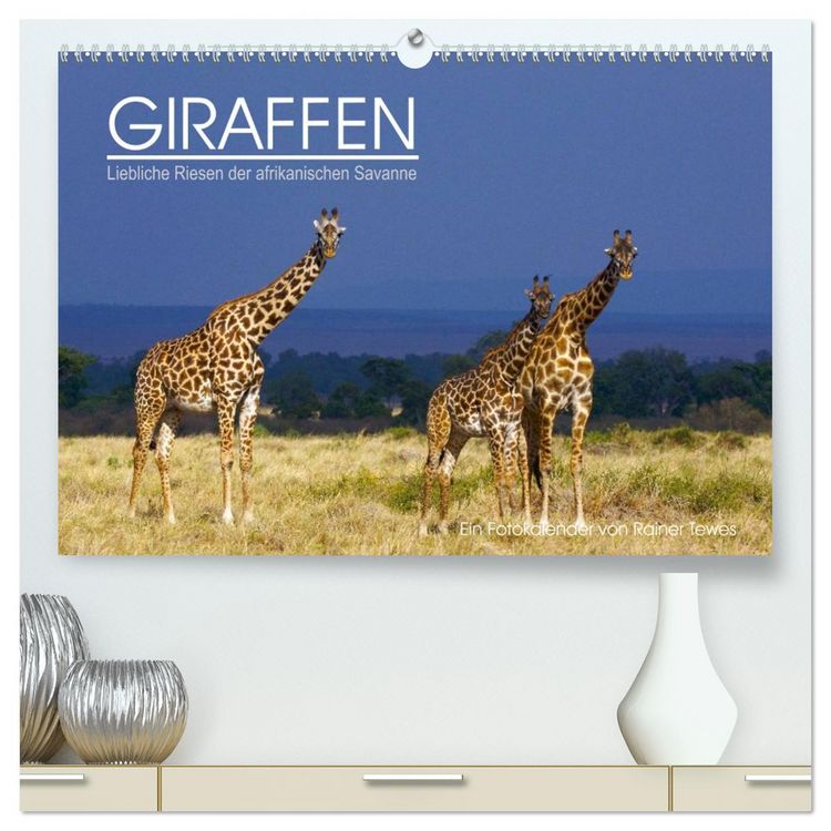 Produktbild: GIRAFFEN - Liebliche Riesen der afrikanischen Savanne (hochwertiger Premium Wandkalender 2026 DIN A2 quer), Kunstdruck in Hochglanz