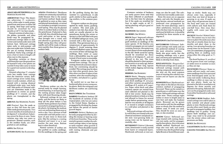 Produktbild: Secrets of Plant Propagation