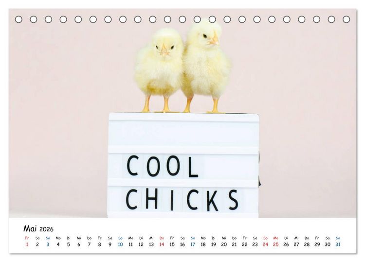 Produktbild: Tierkinder ganz frech (Tischkalender 2026 DIN A5 quer), CALVENDO Monatskalender