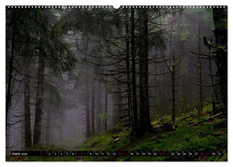 Produktbild: Lumi&egrave;res des Vosges (Calendrier mural 2026 DIN A2 vertical) calendrier de bureau