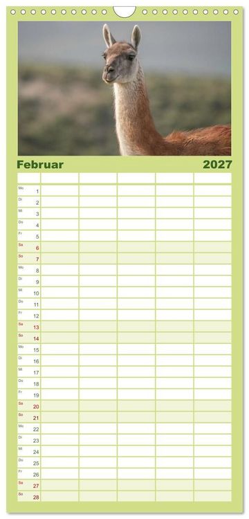 Produktbild: Familienplaner 2027 - Wildlife S&uuml;damerika mit 5 Spalten (Wandkalender, 21 x 45 cm) CALVENDO