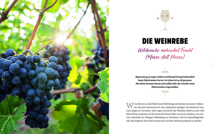 Produktbild: Wein