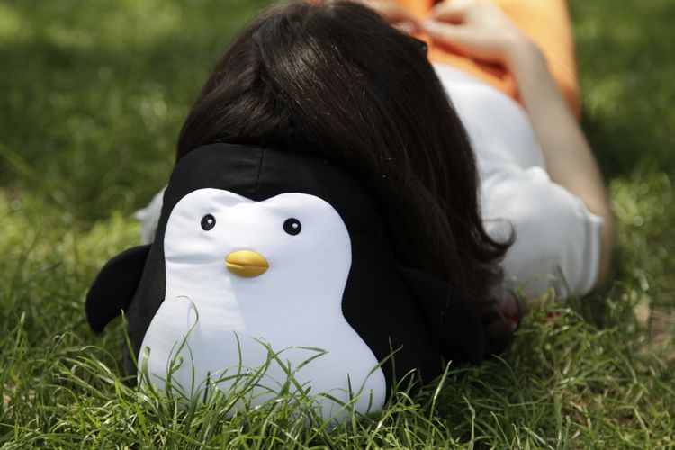 Produktbild: Zip & Flip Penguin