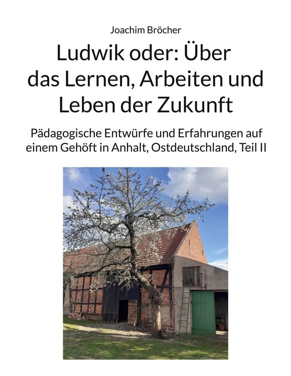 Produktbild: Ludwik oder: &Uuml;ber das Lernen, Arbeiten und Leben der Zukunft