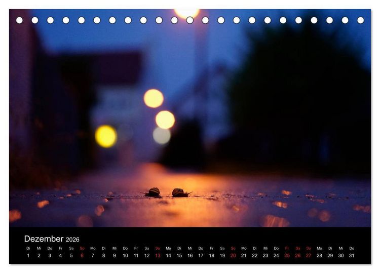 Produktbild: Kleine B&auml;nderschnecke ganz gro&szlig; - Gem&uuml;tlich durch das neue Jahr (Tischkalender 2026 DIN A5 quer), CALVENDO Monatskalender