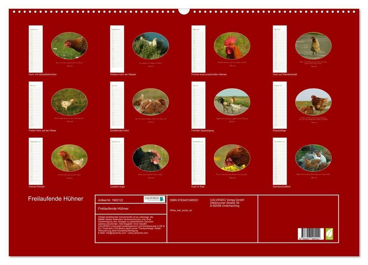 Produktbild: Freilaufende H&uuml;hner (Wandkalender 2026 DIN A2 quer), CALVENDO Monatskalender