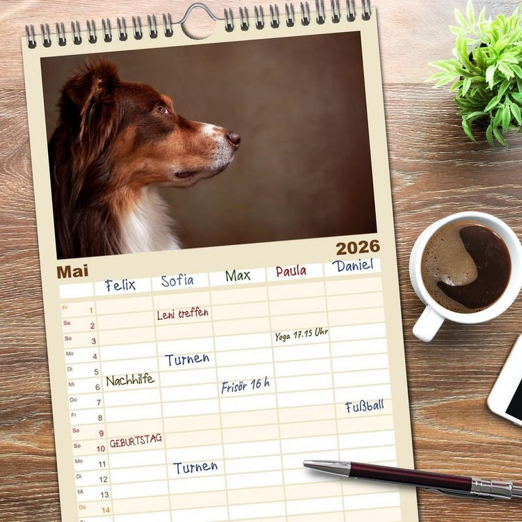 Produktbild: Familienplaner 2026 - Charmante Australian Shepherds mit 5 Spalten (Wandkalender, 21 x 45 cm) CALVENDO