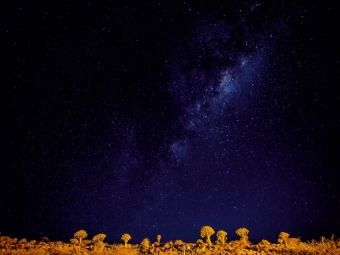 Produktbild: CALVENDO Puzzle K&ouml;cherbaumwald bei Nacht | 1000 Teile Lege-Gr&ouml;&szlig;e 64x48cm Foto-Puzzle f&uuml;r gl&uuml;ckliche Stunden
