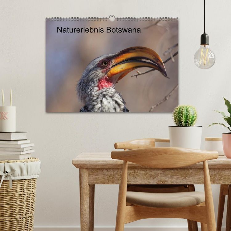 Produktbild: Naturerlebnis Botswana (Wandkalender 2026 DIN A3 quer), CALVENDO Monatskalender