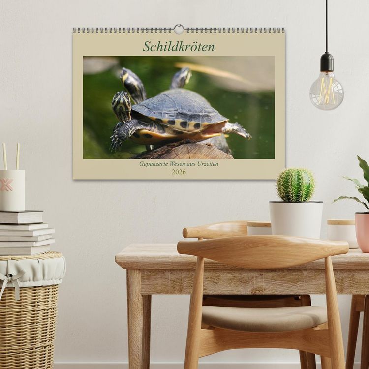 Produktbild: Schildkr&ouml;ten - Gepanzerte Wesen aus Urzeiten (Wandkalender 2026 DIN A3 quer), CALVENDO Monatskalender