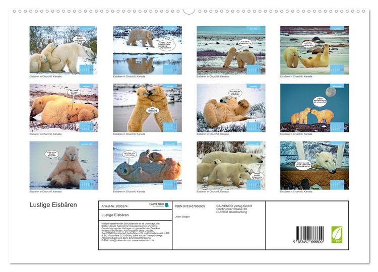 Produktbild: Lustige Eisb&auml;ren (hochwertiger Premium Wandkalender 2026 DIN A2 quer), Kunstdruck in Hochglanz