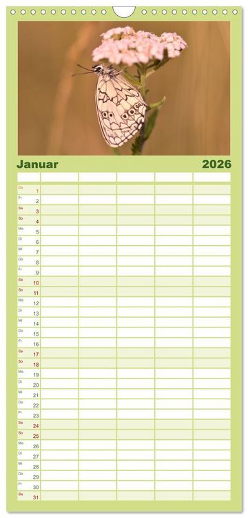 Produktbild: Familienplaner 2026 - Schmetterlinge. Schimmernde Zauberwesen mit 5 Spalten (Wandkalender, 21 x 45 cm) CALVENDO