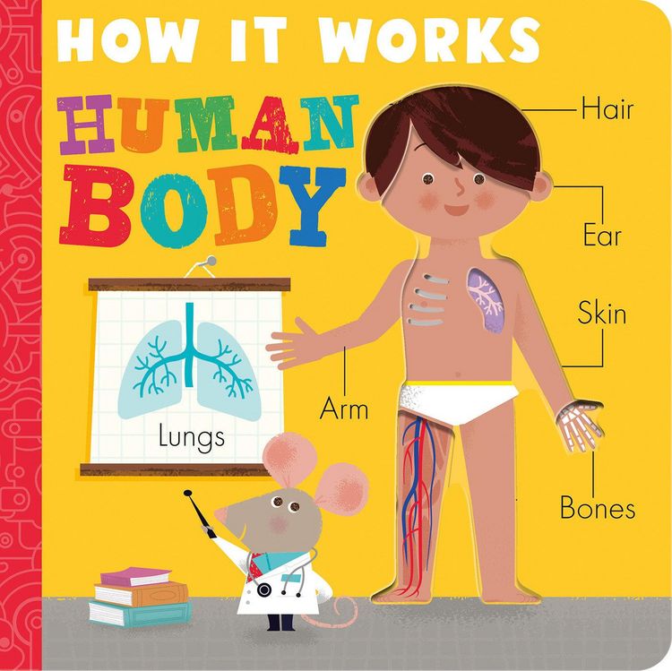 Produktbild: How It Works: Human Body