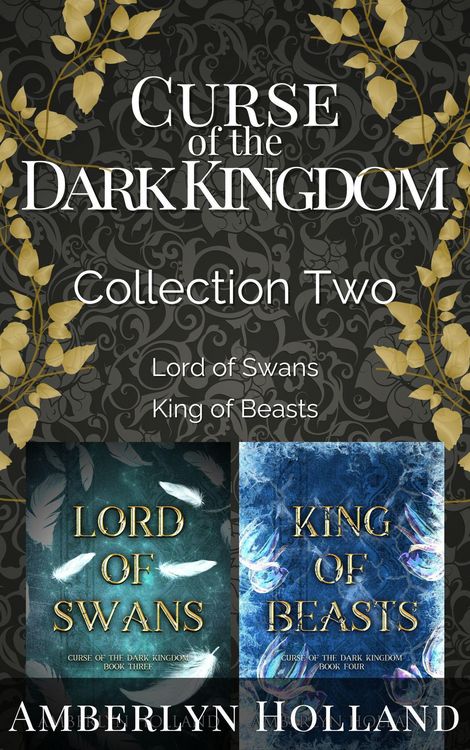 Produktbild: Curse of the Dark Kingdom: Collection Two (Curse of the Dark Kingdom Collections, #2)