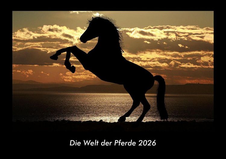 Produktbild: Die Welt der Pferde 2026 Fotokalender DIN A3