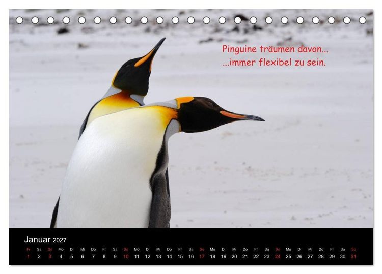 Produktbild: Wovon Pinguine tr&auml;umen (Tischkalender 2027 DIN A5 quer), CALVENDO Monatskalender