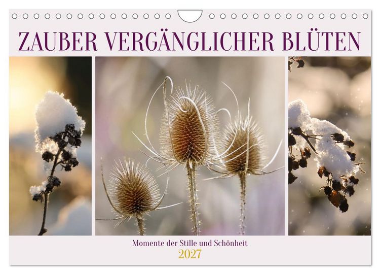 Produktbild: Zauber verg&auml;nglicher Bl&uuml;ten (Wandkalender 2027 DIN A4 quer), CALVENDO Monatskalender