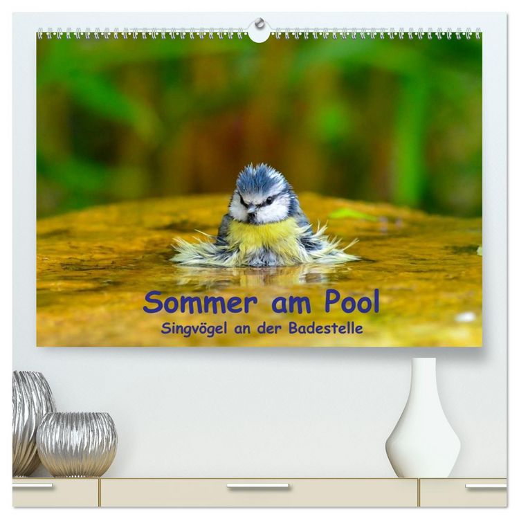 Produktbild: Sommer am Pool - Singv&ouml;gel an der Badestelle (hochwertiger Premium Wandkalender 2026 DIN A2 quer), Kunstdruck in Hochglanz
