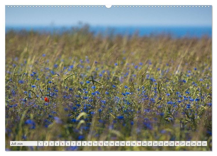 Produktbild: Feine Formen der Natur (hochwertiger Premium Wandkalender 2026 DIN A2 quer), Kunstdruck in Hochglanz