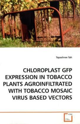 Produktbild: Tah, T: CHLOROPLAST GFP EXPRESSION IN TOBACCO PLANTS AGROINF
