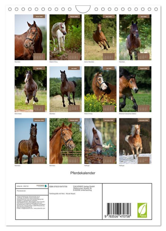 Produktbild: Pferdekalender (Wandkalender 2026 DIN A4 hoch), CALVENDO Monatskalender