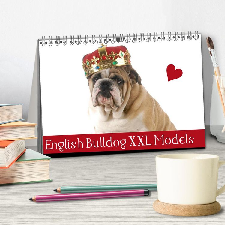 Produktbild: English Bulldog XXL Models (Tischkalender 2026 DIN A5 quer), CALVENDO Monatskalender