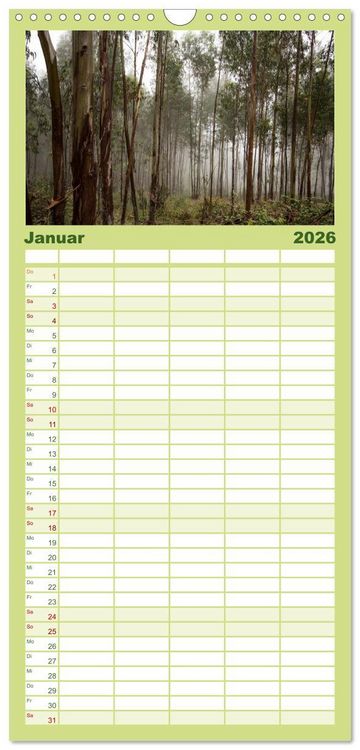 Produktbild: Familienplaner 2026 - Wald mit 5 Spalten (Wandkalender, 21 x 45 cm) CALVENDO