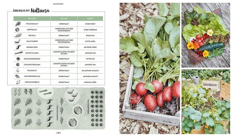 Produktbild: Mit dem Hochbeet durchs Jahr