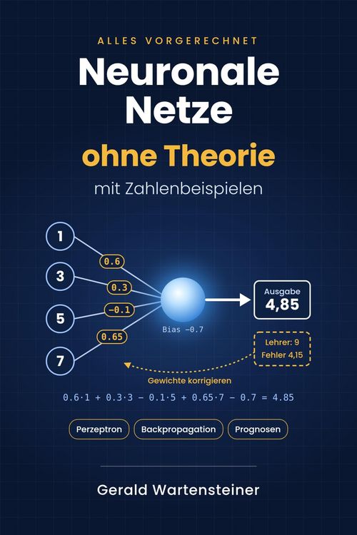 Produktbild: Neuronale Netze ohne Theorie