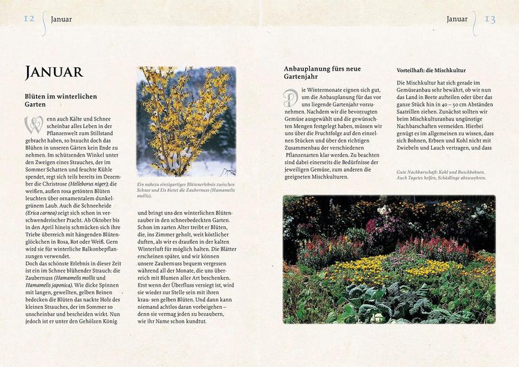 Produktbild: Geheimnisse aus dem Klostergarten