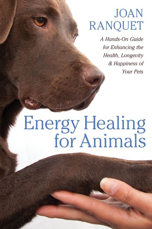 Produktbild: Energy Healing for Animals