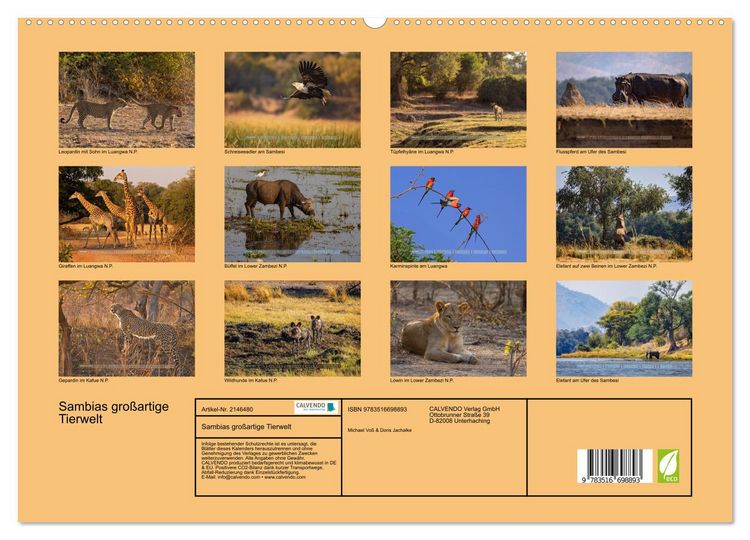 Produktbild: Sambias gro&szlig;artige Tierwelt (hochwertiger Premium Wandkalender 2026 DIN A2 quer), Kunstdruck in Hochglanz