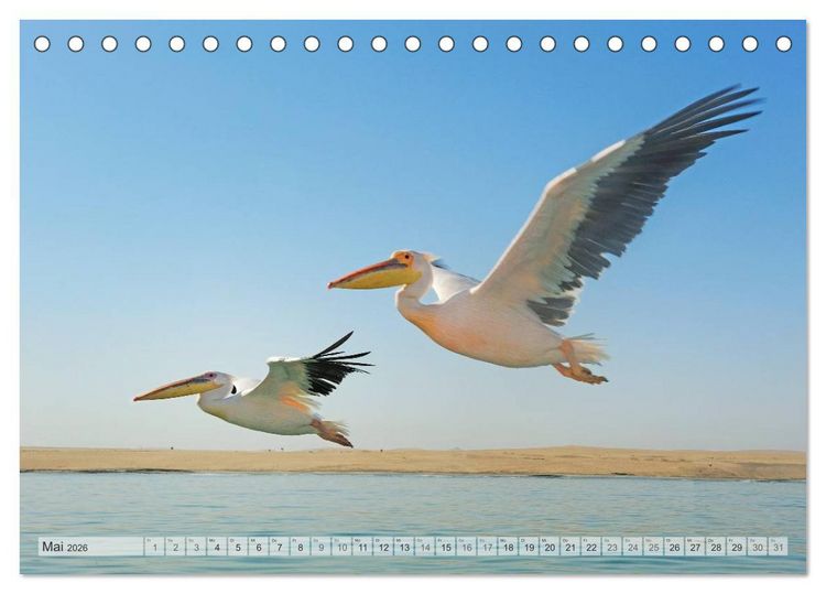 Produktbild: Afrikas Tierwelt Christian Heeb (Tischkalender 2026 DIN A5 quer), CALVENDO Monatskalender